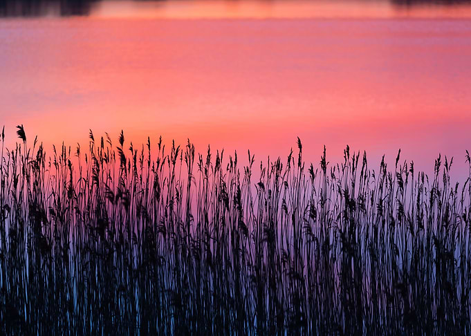 Beautiful Lake With Colorf