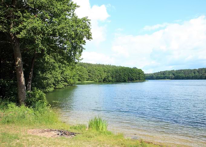 Lake Coast