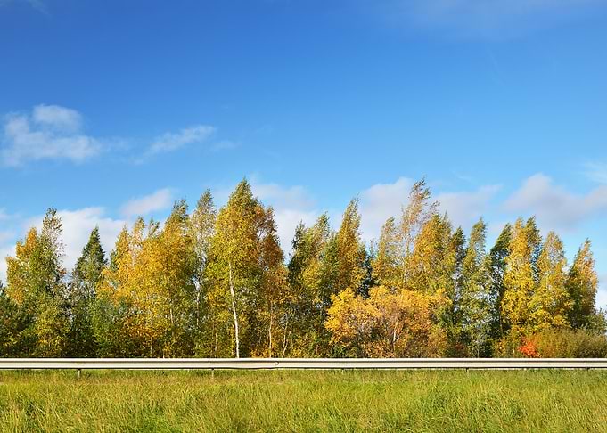 Autumn Landscape