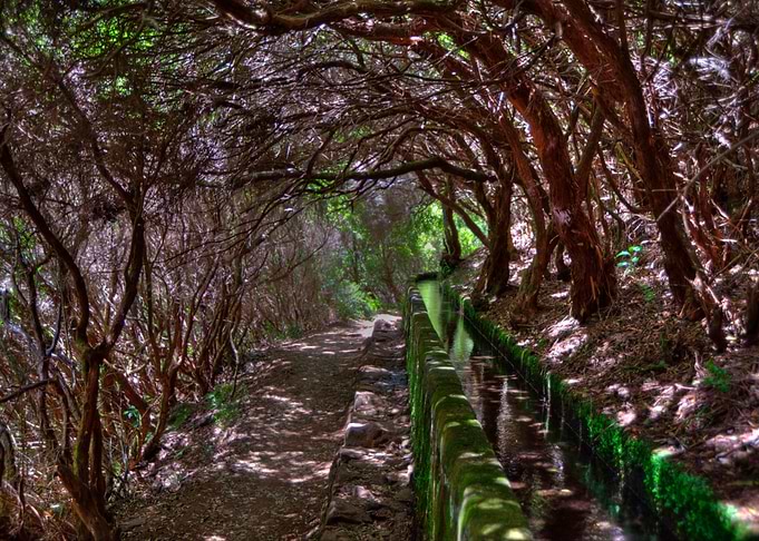 Madeira