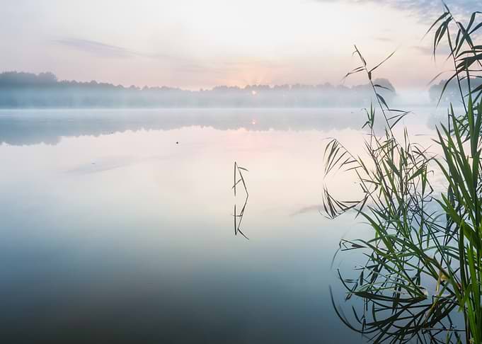 Morning Foggy Lake