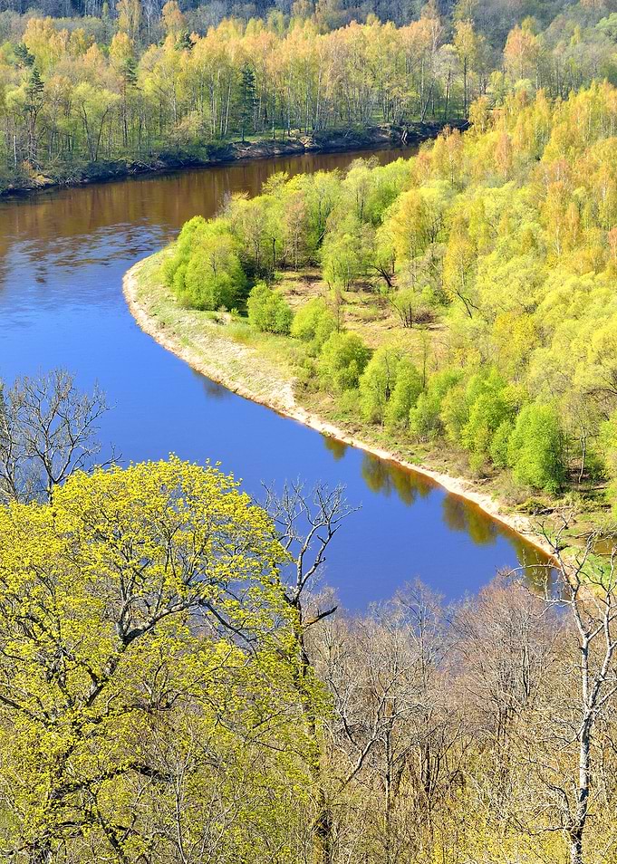 Spring Landscape In Siguld