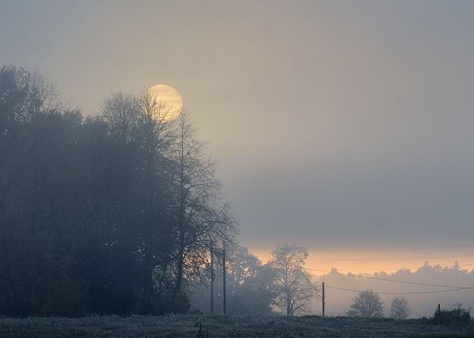 Strong Morning Fog In The