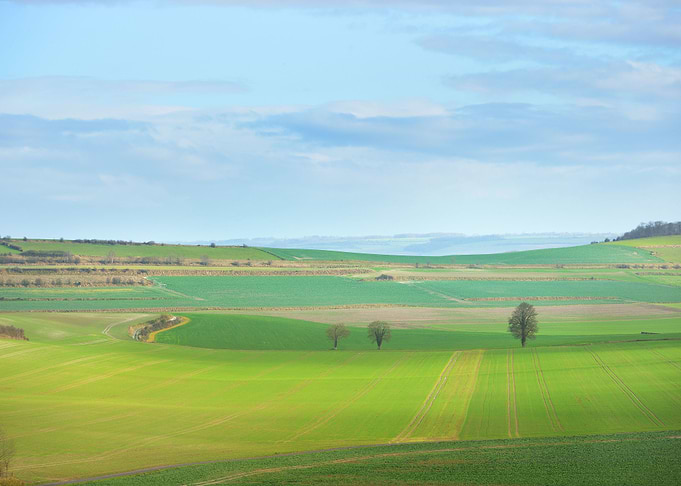 Fields On The Hills Of Pic