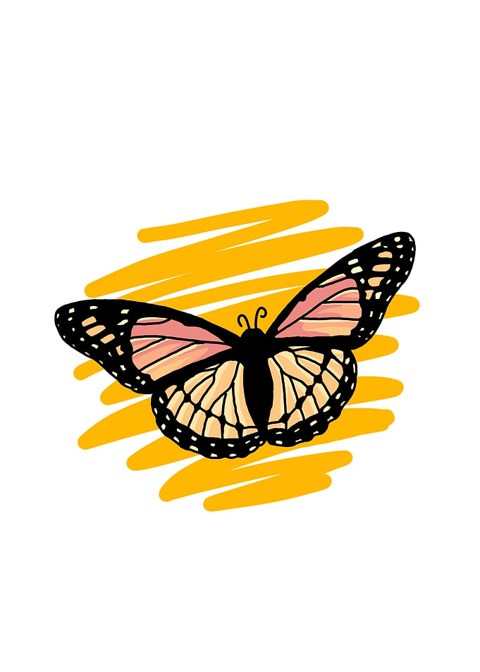 Cute Butterfly