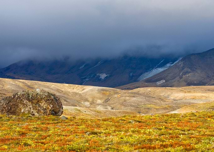 Wild Nature Of Kamchatka V