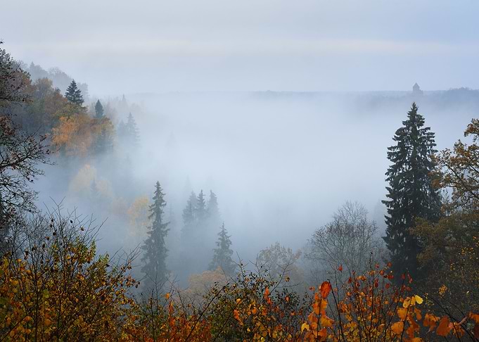 Gauja River Valley In Autu