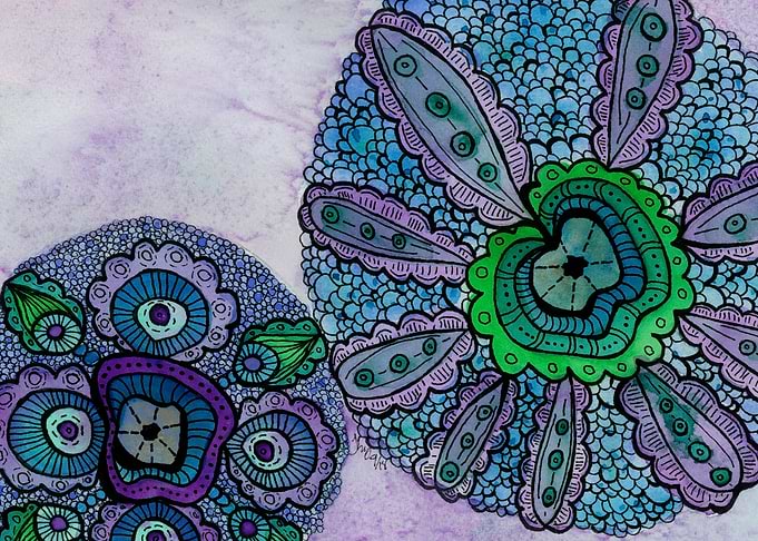 Sea Urchin 1
