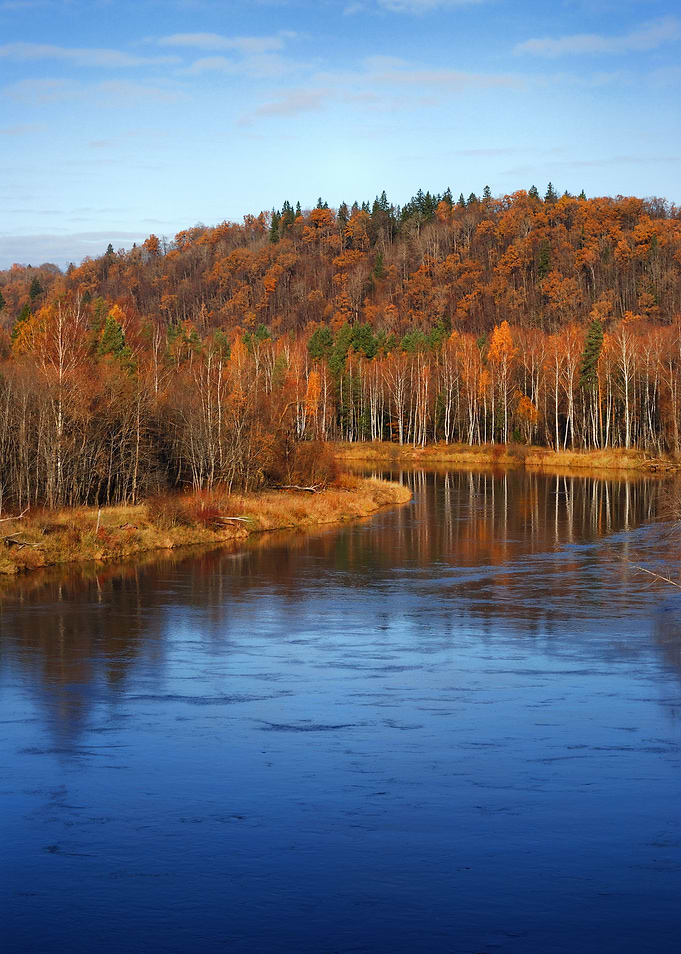 Autumn Landscape