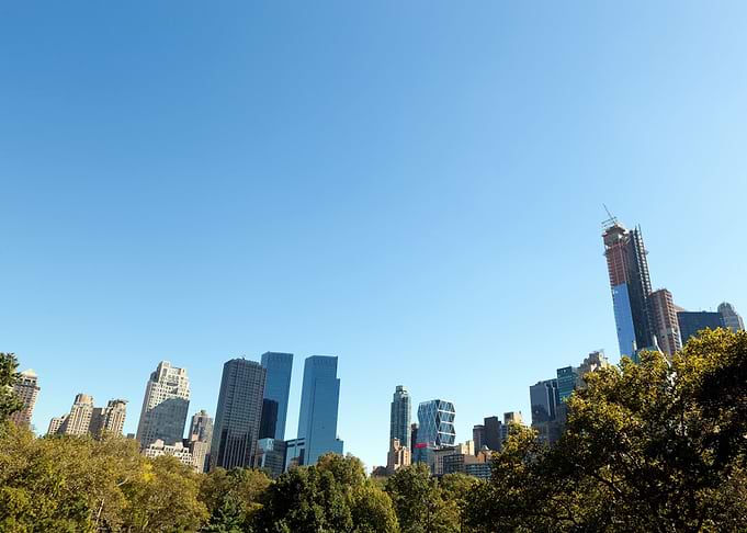 Central Park New York Skyl