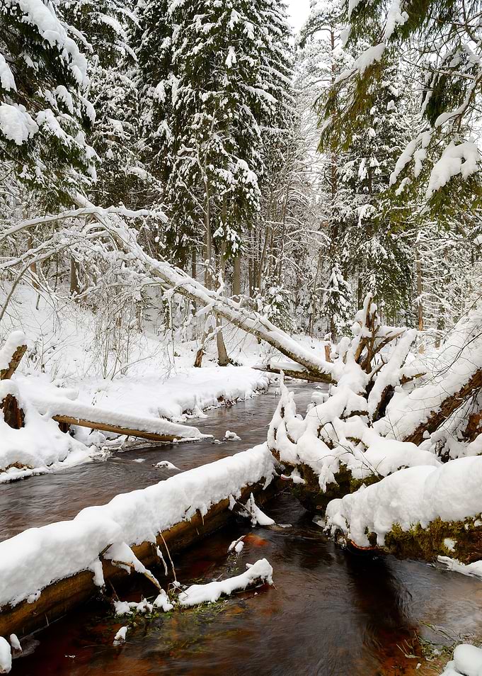 Winter River Valley Landsc