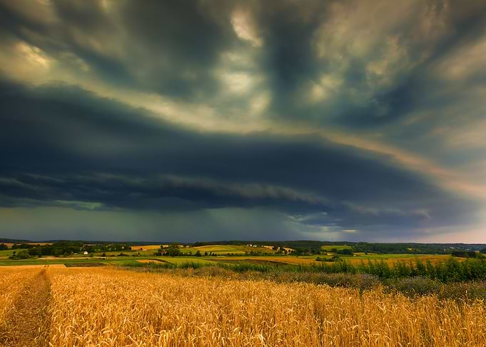Storm Clouds Over Wheat Fi