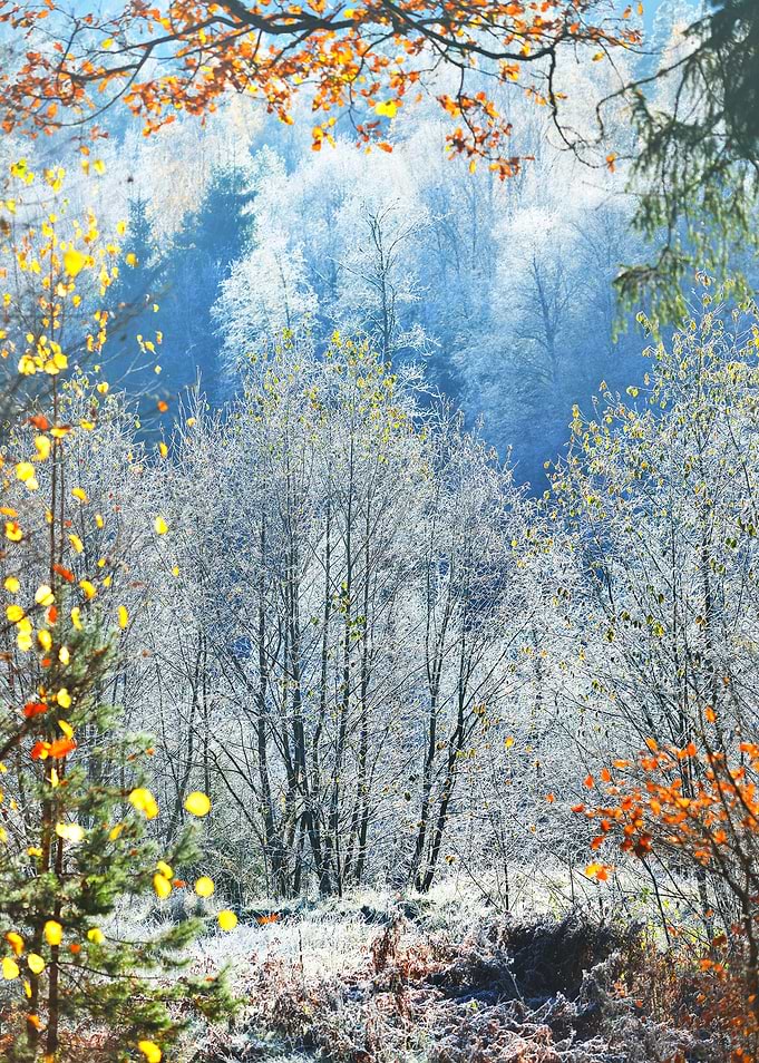 Landscape With The Frozen