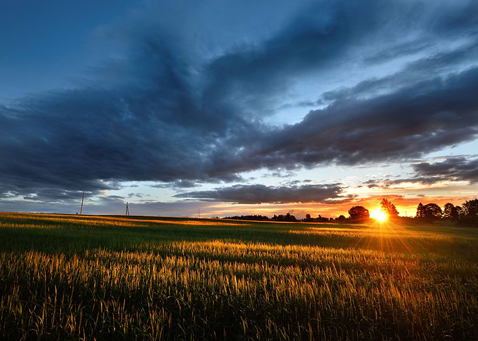 A Sunset Over The Field