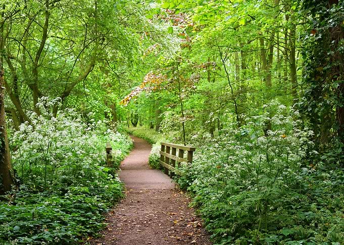 Walkway In Stochemhoeve Fo