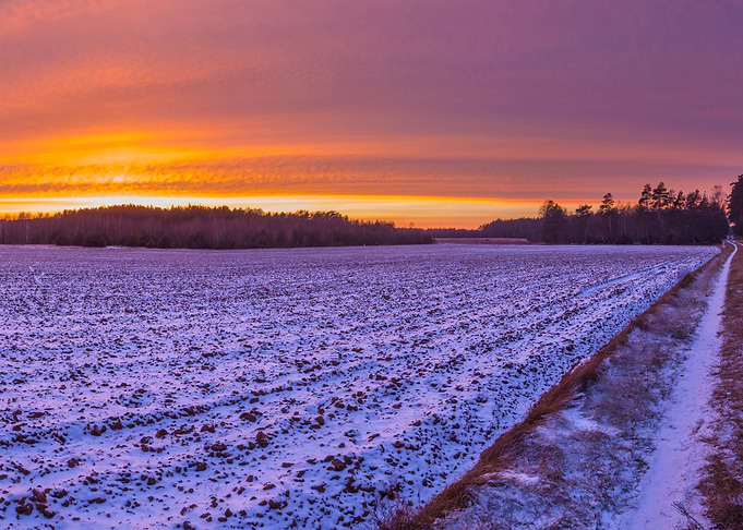Beautiful Winter Field Lan