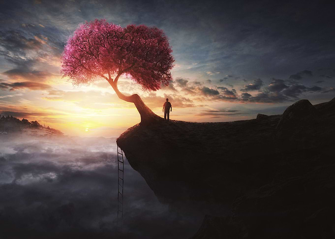 Cherry Tree At Sunset