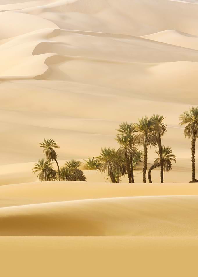 Stunning Backgrounds