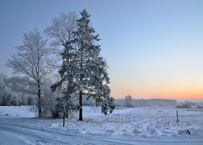 Winter Countryside View