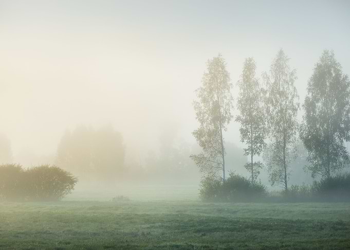 Strong Morning Fog Above T