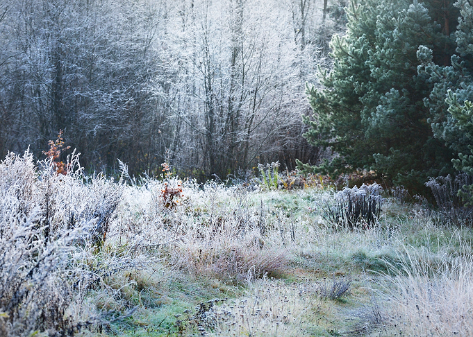 Landscape With The Frozen