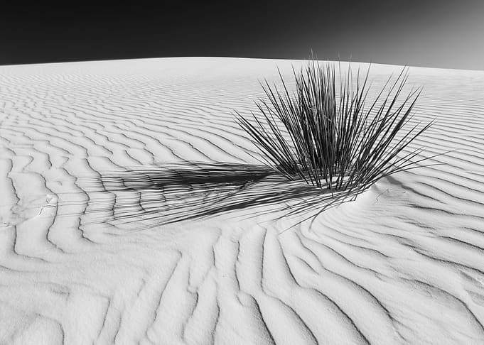 WHITE SANDS Idyllic scene