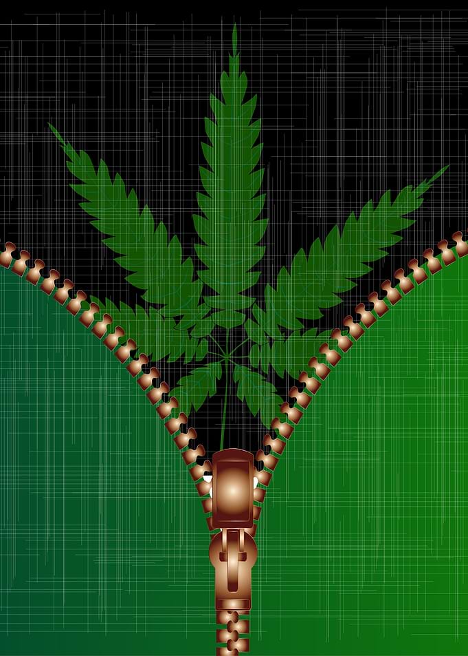 Open Zipper Cannabis Leaf