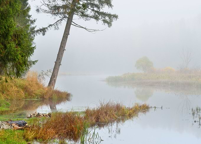 Autumn River Scene In Stro