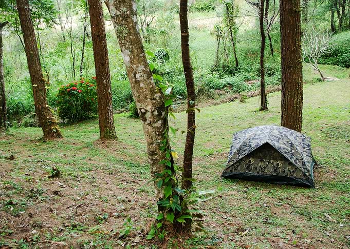 Camping Tent In Forest Of