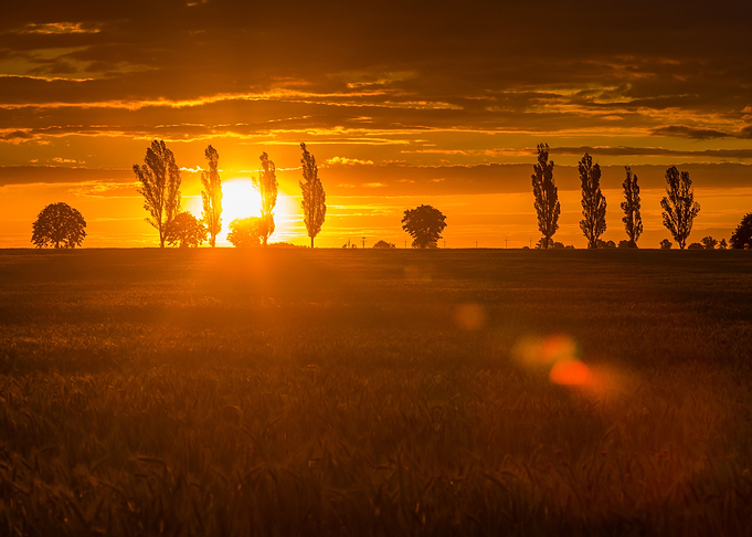 Landscape With Orange Suns