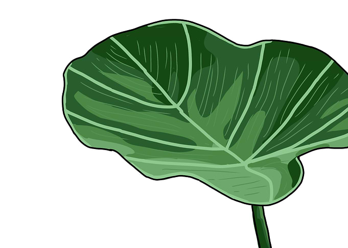 Green Leaf