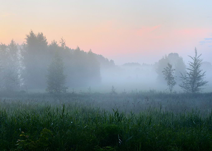 Morning Fog Above The Fiel