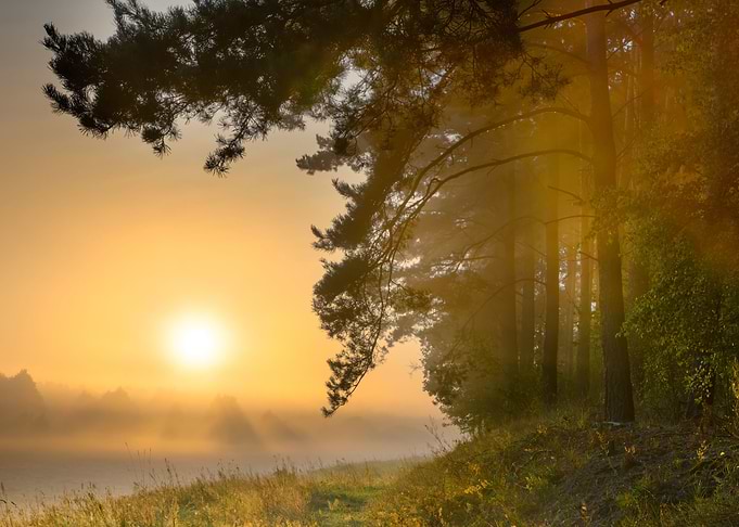 Foggy Morning On Polish Me
