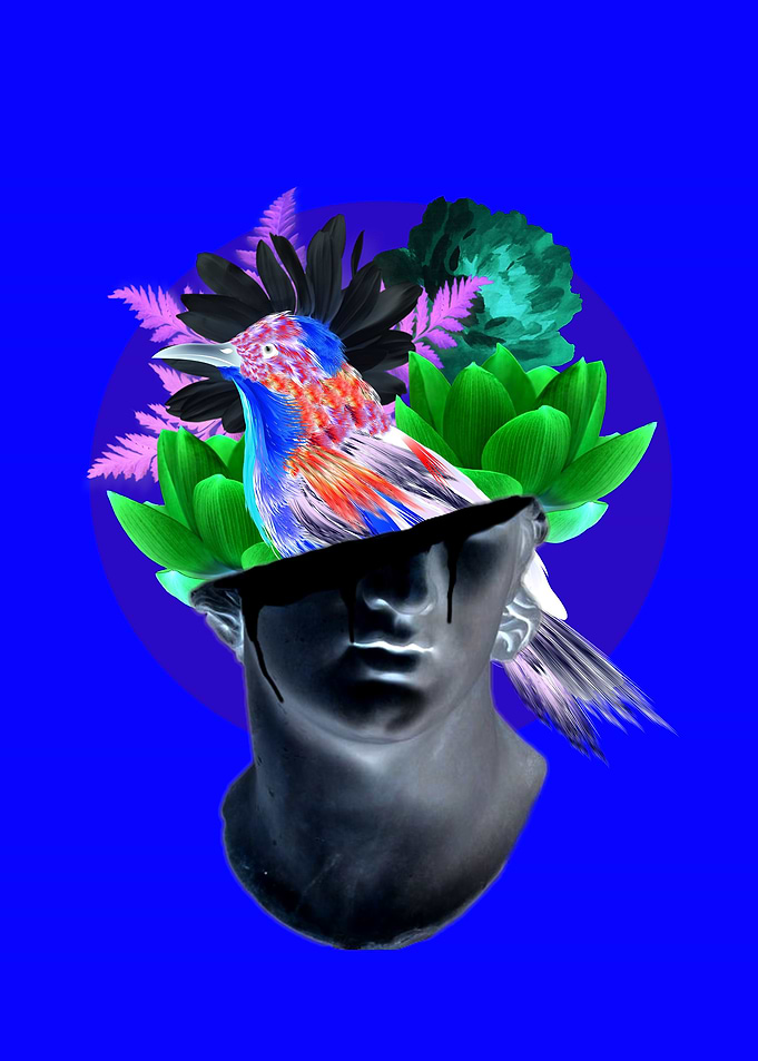 trippy collage