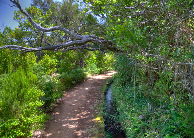 Madeira