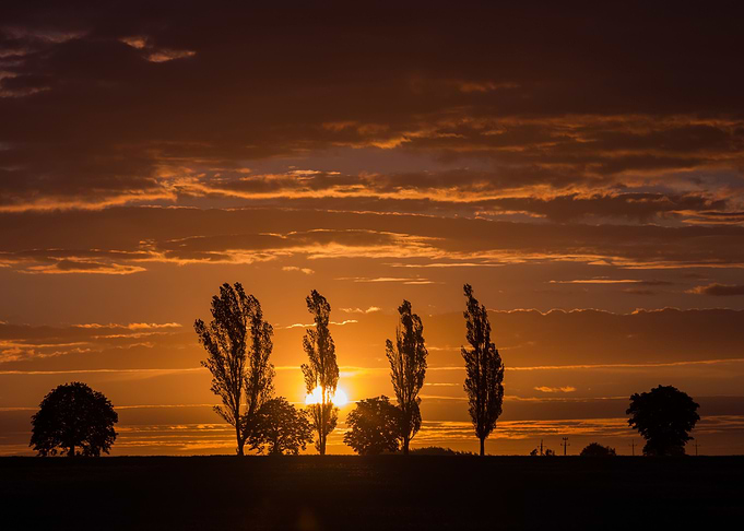 Landscape With Orange Suns