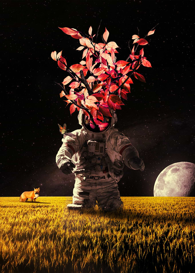 Autumn Sprout