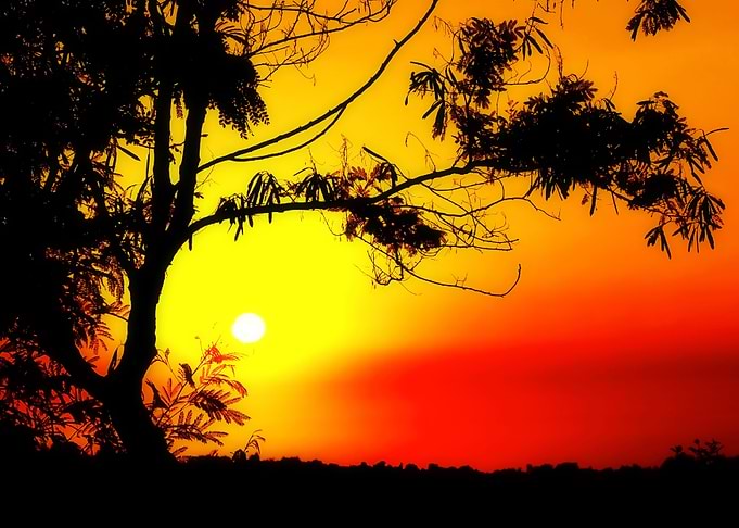 Tropical Sunset