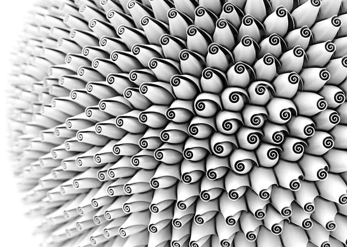 Multitude