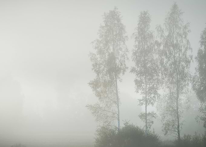 Strong Morning Fog Above T