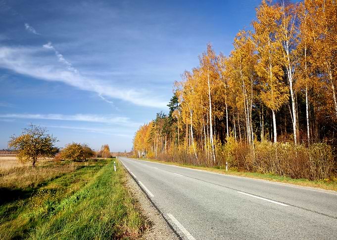 Country Road In Fall Seaso