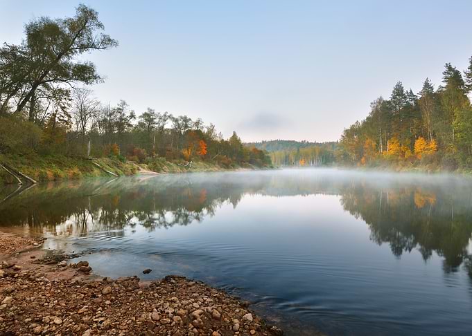 Autumn Gauja River In Sigu