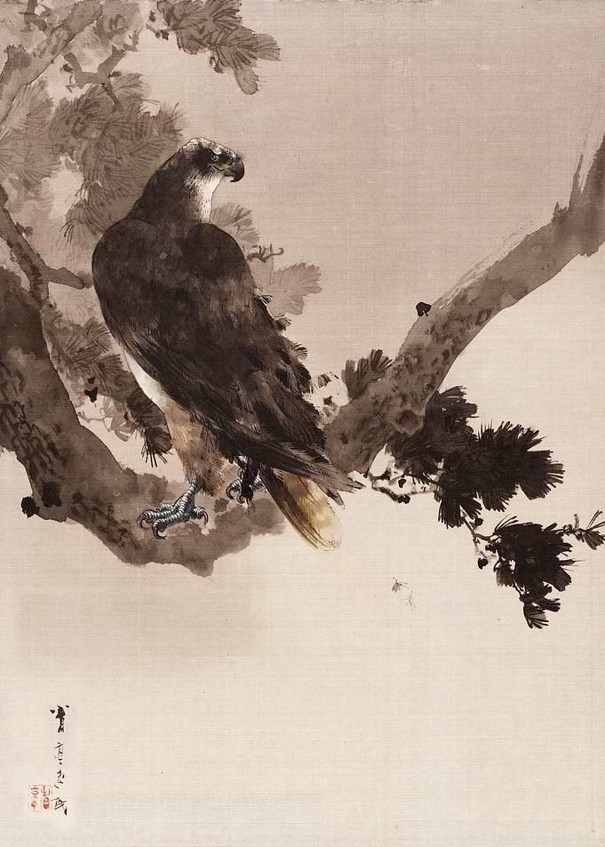 Eagle on a Tree