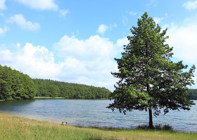 Lake Coast