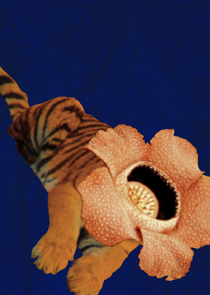 Maneater