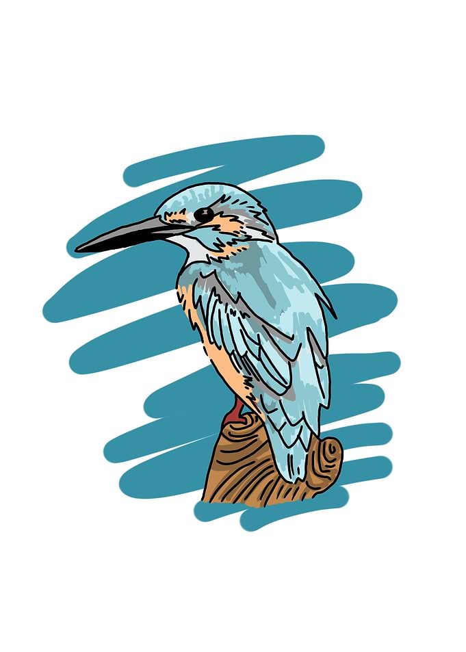 Cute Bird