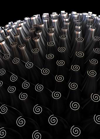 Spiral origin