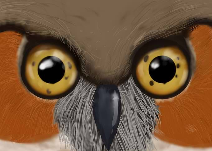 Look into his eyes