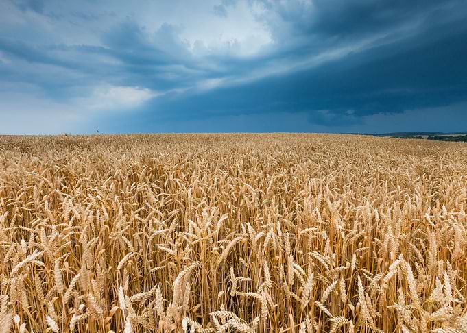 Stormy Sky Over Field