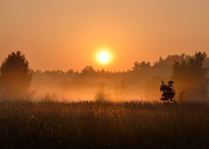 Sun And Morning Fog Above